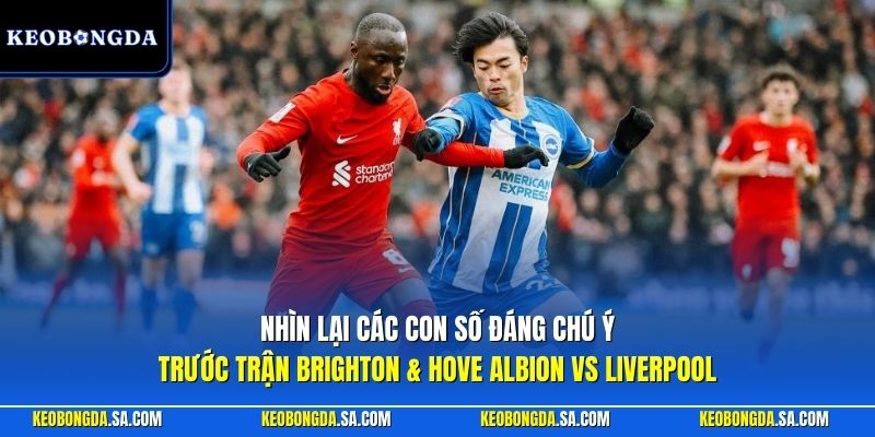 Nhìn lại các con số đáng chú ý trước trận Brighton Hove Albion vs Liverpool